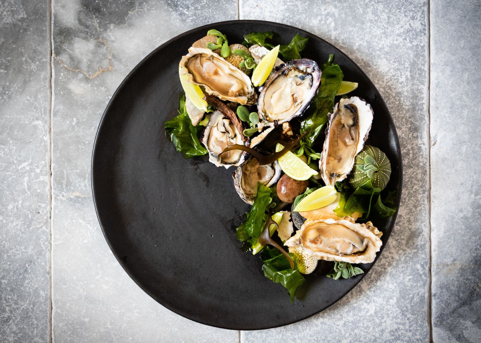 A plate of freshly shucked oysters dressed with sea lettuce, lime and foraged shoreline botanicals